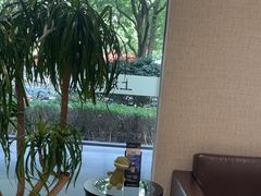 -TSK齿科德申会口腔门诊·联洋诊所