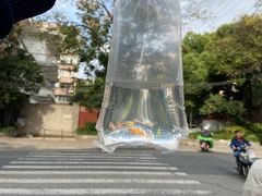 -曲阳花鸟市场(曲阳路店)