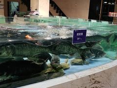 -旺顺阁海鲜广场(亚运村店)