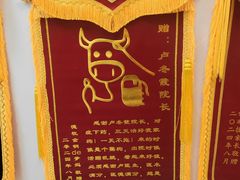 -美联众合爱康动物医院•复杂内科•肿瘤科•牙科•腔镜诊疗中心