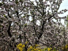 -元大都城垣遗址公园