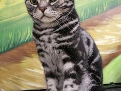 -藦茜花园宠物主题亲子互动体验馆(国顺东路店)