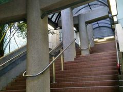 -香港大学