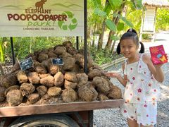 -大象粑粑造纸公园