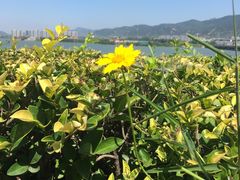 -天平湖公园
