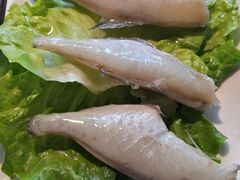 -锅说大脸毛肚重庆老火锅(佐阾店)
