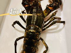 -人杰鱼乐轩(珠江路店)