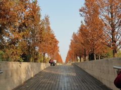 -滆湖低碳生态公园