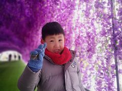 -绿野森林乐园冰雪季