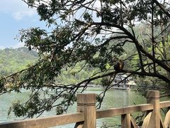 -黔灵山公园