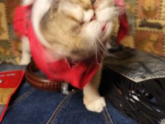 -达拉斯 沃斯堡国际机场