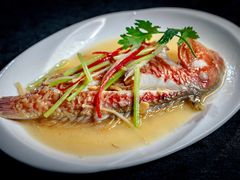 -宜兴隆家宴·私房菜(泰安华庭店)
