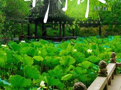 -上海醉白池公园