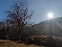 -宝界山林公园