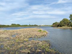 -哈尔滨大剧院