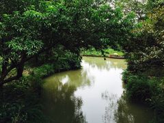 同里国家湿地公园-同里国家湿地公园