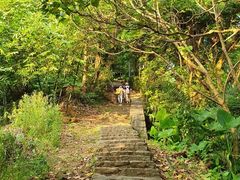 -火炉山森林公园