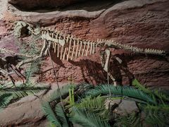 -安徽省地质博物馆