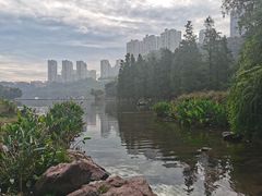 -重庆彩云湖湿地公园