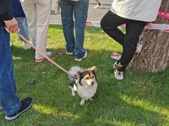 -江南大学(蠡湖校区)