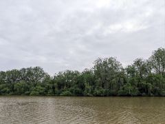 -大湾区中央湿地公园