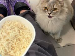-平行世界·猫咖(首经贸店)