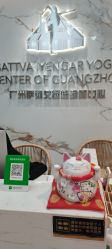 -广州萨谛艾扬格瑜伽中心