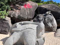 -海南分界洲岛旅游区