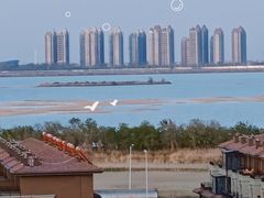 -南大港湿地风景区