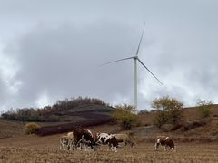 -塞罕坝国家级自然保护区