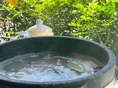 -墨脱石锅椰子鸡•海鲜糟粕醋(榆亚路店)