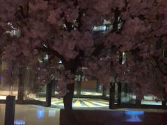 -嘉悦汗蒸时代(曙光路店)
