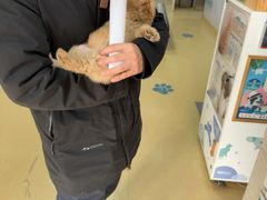-瑞派天宁宠物医院·猫科·异宠中心