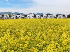 -东梓关景区村庄