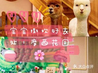 宝宝撒欢好去处｜摩西花园