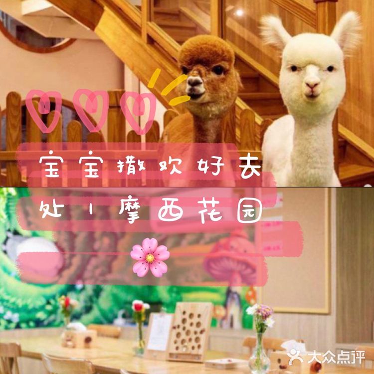 宝宝撒欢好去处｜摩西花园🌸