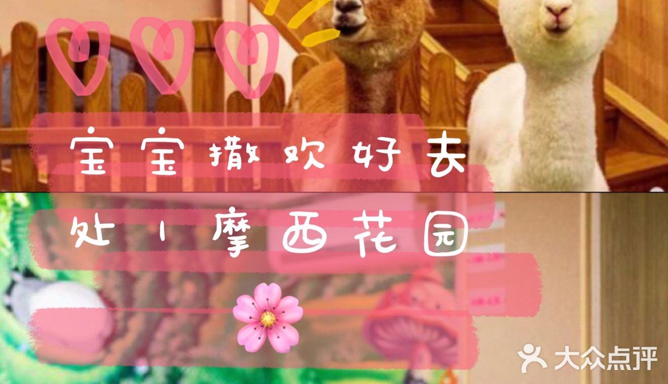 宝宝撒欢好去处｜摩西花园🌸