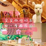 宝宝撒欢好去处｜摩西花园🌸