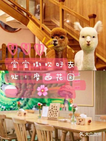 宝宝撒欢好去处｜摩西花园