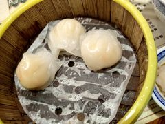 虾饺皇-双喜老铺(人民广场店)