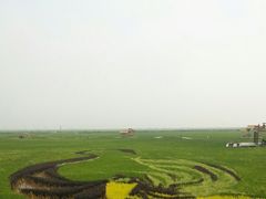 -红海滩国家风景廊道