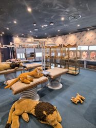 -奈尔宝家庭中心·亲子餐厅(鄞州万达店)