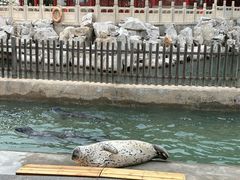 -八仙过海景区