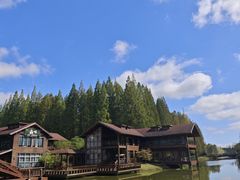 -黄海国家森林公园