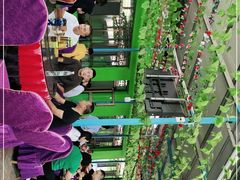 -马白开来特色羊排揪片子  (总店)