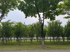 -阳澄湖半岛旅游度假区