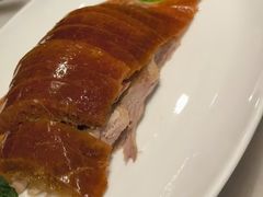 -鸭匠食府·挂炉烤鸭·新京菜(阜成路店)
