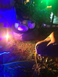 -恐龙探索乐园(磁器口店)