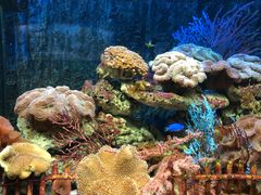 -北戴河圣蓝海洋公园