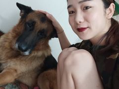 -德元·美联众合24小时动物医院(总院)